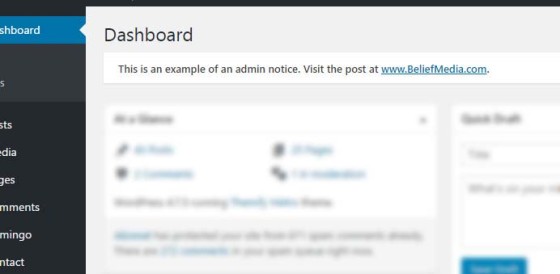 Display WordPress Admin (Plugin Upgrade) Notices