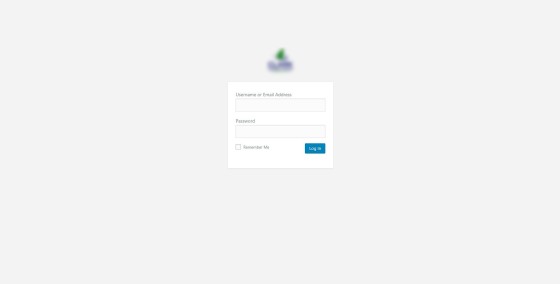 WordPress Custom Login