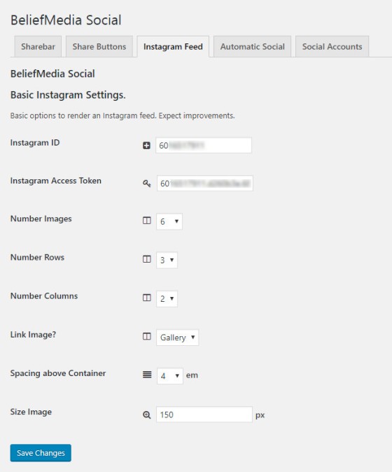 WordPress Instagram Settings