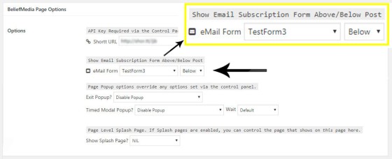 Page Email Options