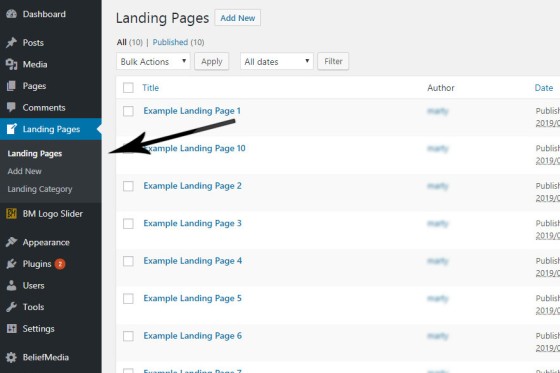 Landing Page Custom Post Type