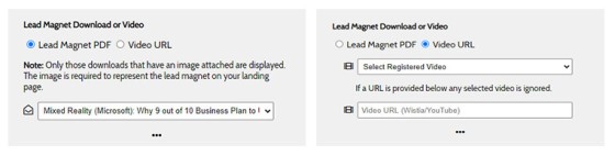 Lead Magnet Options