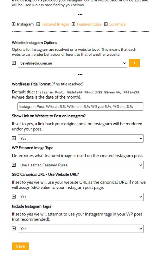 WordPress Instagram Options