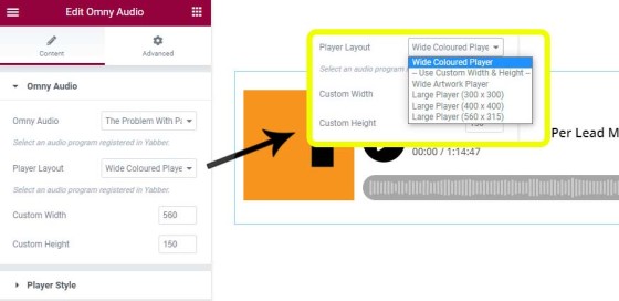 Elementor Omny Display Options