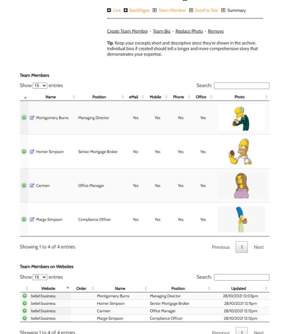 Team Member Summary Page