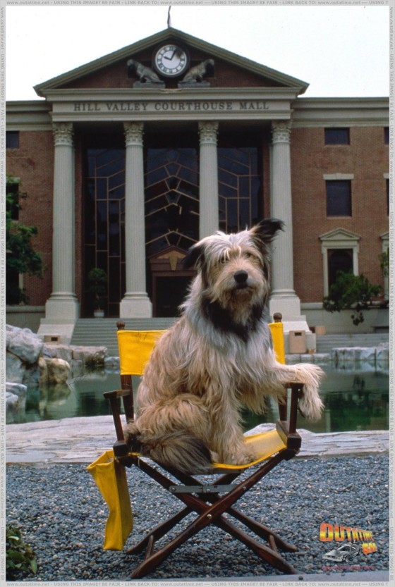 Instagram Image Instagram Image