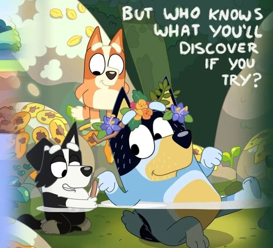 Instagram Image Instagram Image