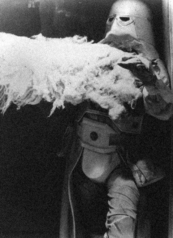 Instagram Image Instagram Image