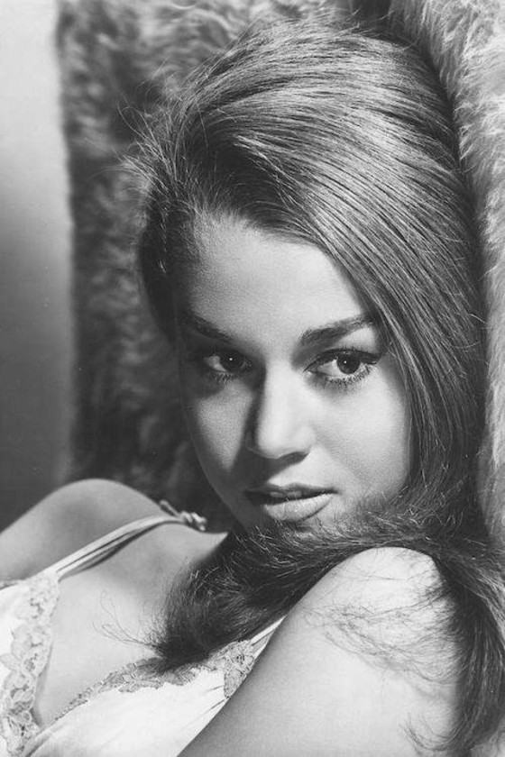 Instagram Image Instagram Image