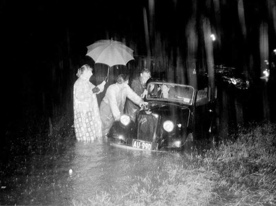 Instagram Image Instagram Image