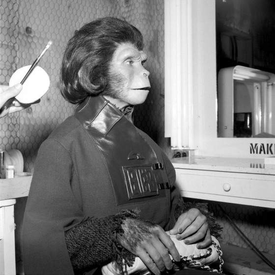 Instagram Image Instagram Image