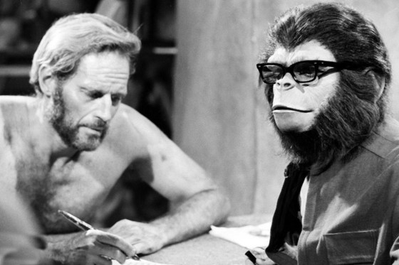 Instagram Image Instagram Image