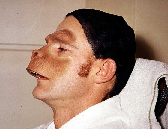 Instagram Image Instagram Image