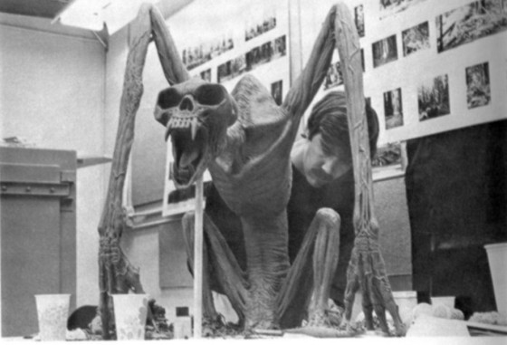 Instagram Image Instagram Image