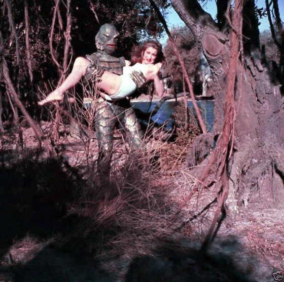 Instagram Image Instagram Image