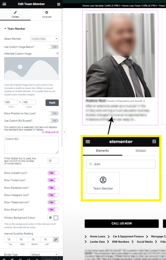 Team Member in Elementor