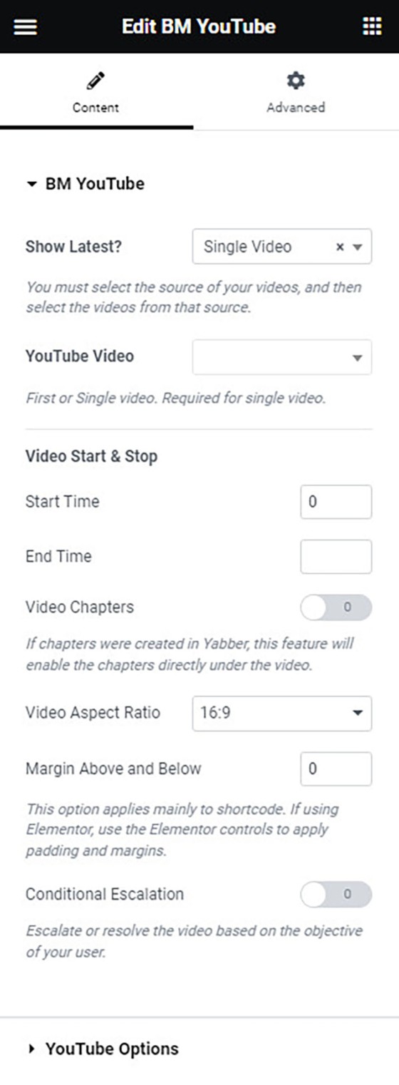 YouTube Player Options