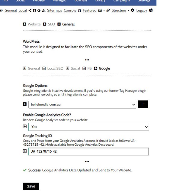 Send Google Analytics Website