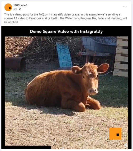 Instagratify Square Video on Facebook