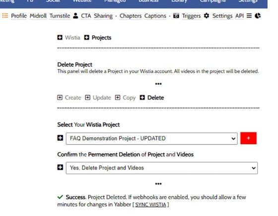Wistia Project Delete