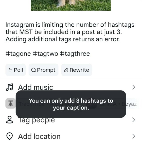 Instagram Image Instagram Image