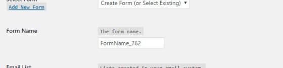 The Form Name