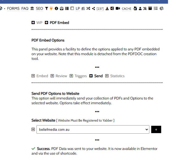 Send PDF Options to Website