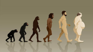 WordPress Evolution