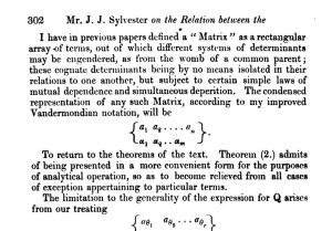 James Joseph Sylvester, Matrix